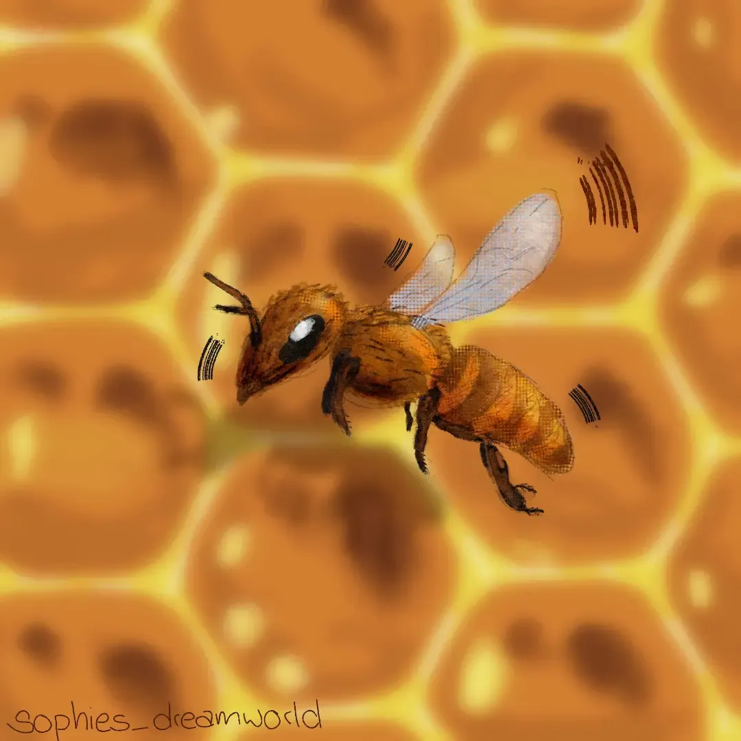 Illustration 06