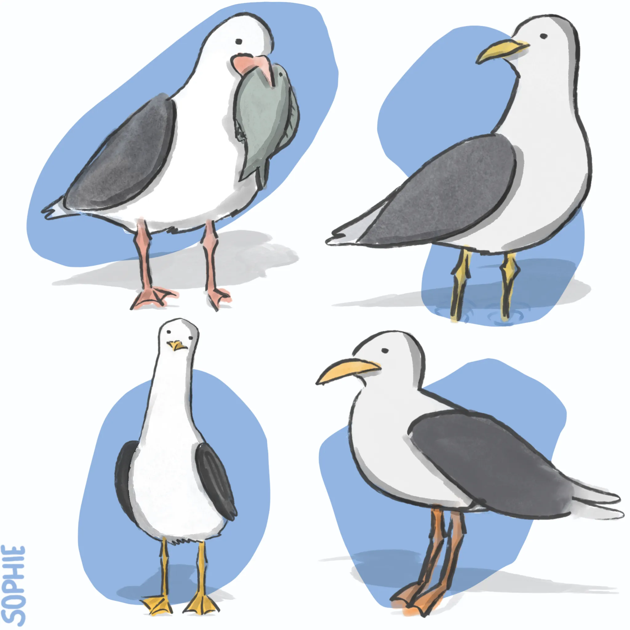 Illustration 21