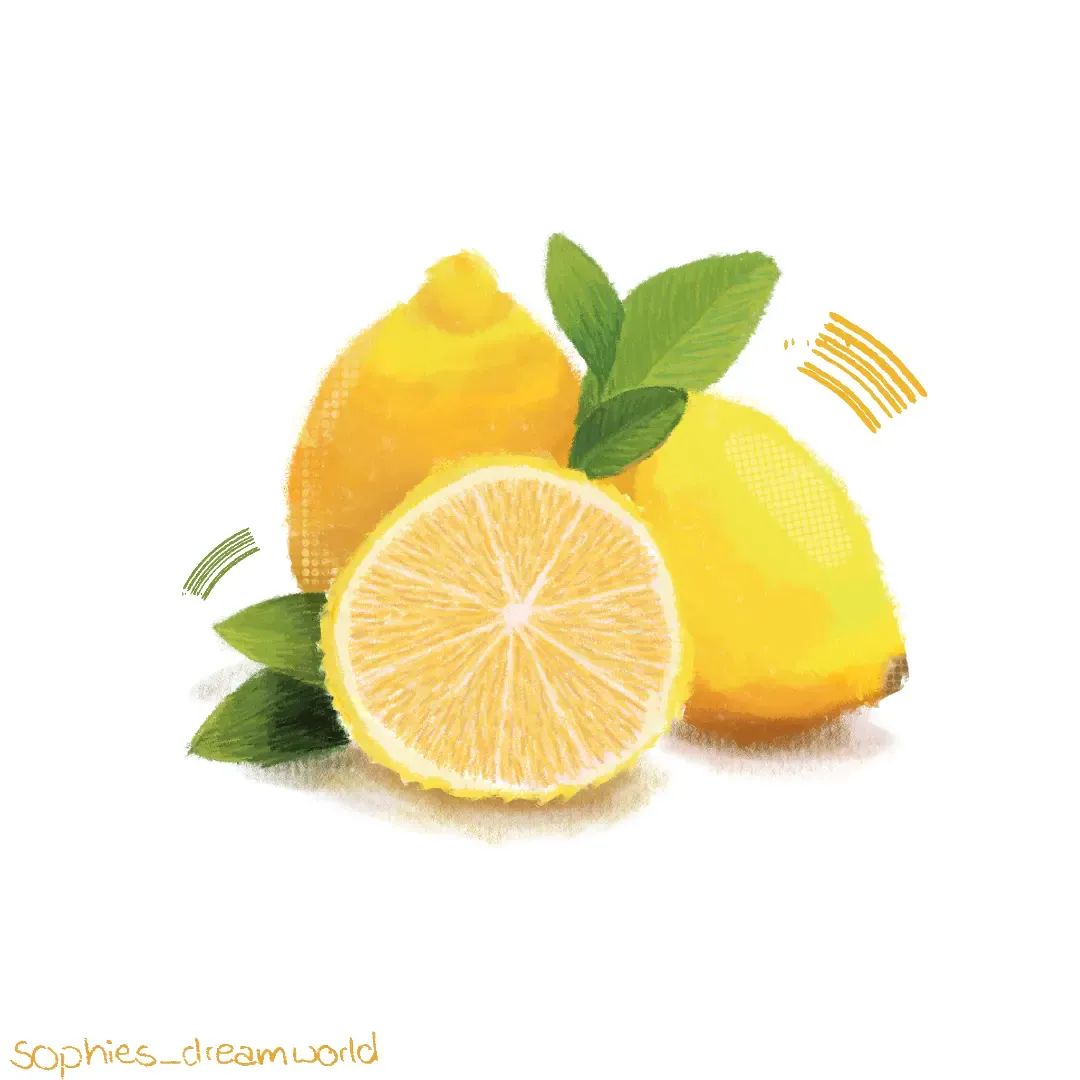 Illustration 04